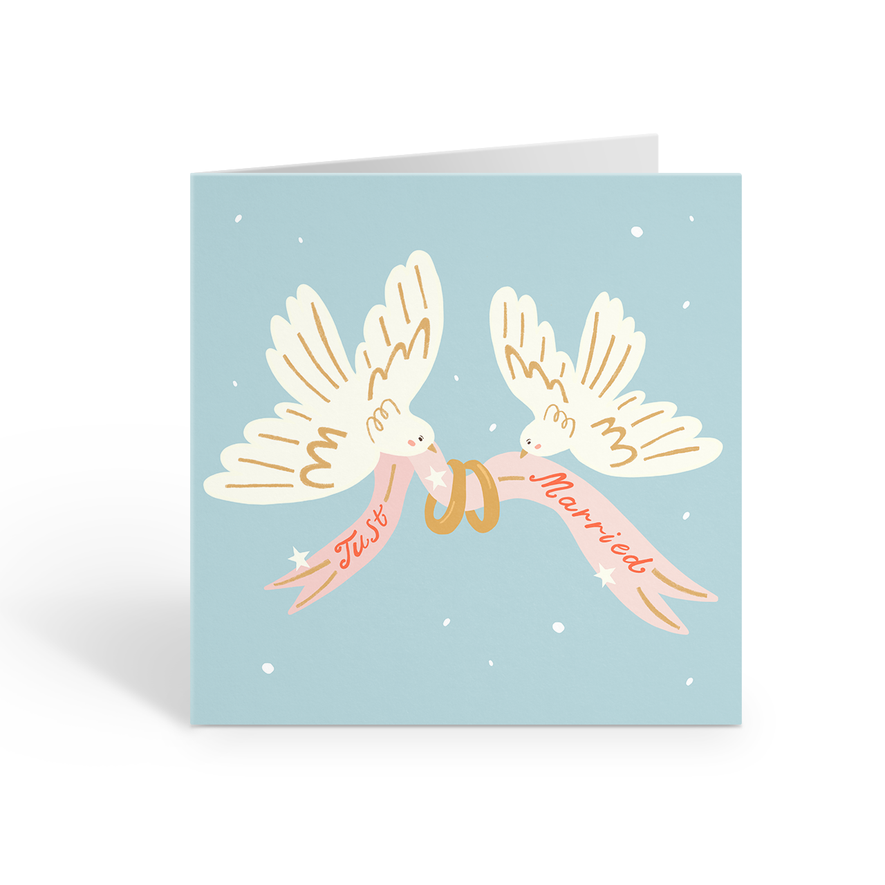 Just Married Greeting Card